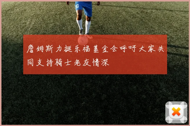 詹姆斯力挺乐福基金会呼吁大家共同支持骑士老友情深